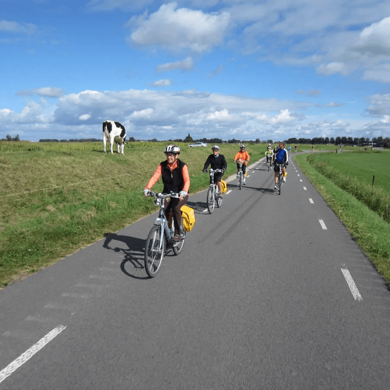 Webdesign Heerhugowaard, Webdesign Snel een webdesigner - Boost jouw Online Succes met onze Hulp